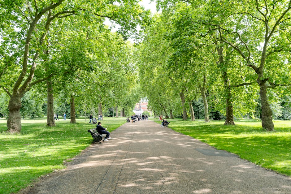 A paved pathway curves through a lush, green park area with well-maintained grass on both sides. On the left, a large tree with dense green foliage towers over the path, casting shadows on the ground,